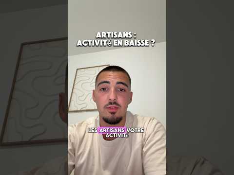 Artisans : Activité en Baisse ?